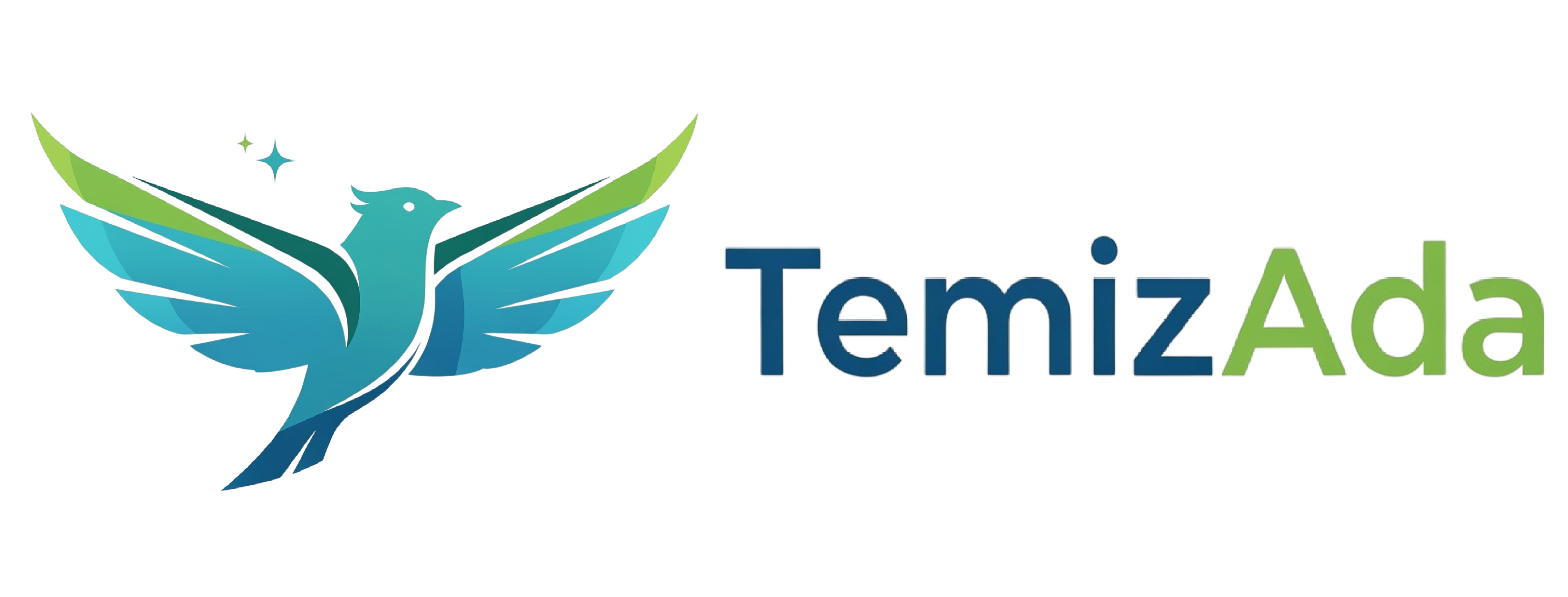 TemizAda Logo